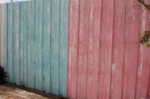 Enlarge photo 196