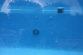 Enlarge photo 357