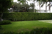 Enlarge photo 359