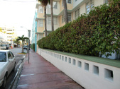 Enlarge photo 79