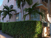 Enlarge photo 110