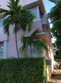 Enlarge photo 113