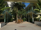 Enlarge photo 145