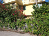 Enlarge photo 8