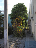Enlarge photo 18