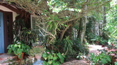 Enlarge photo 26