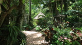 Enlarge photo 27