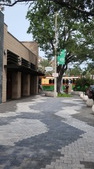 Enlarge photo 66
