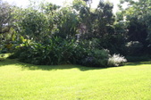 Enlarge photo 25