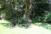 Enlarge photo 28