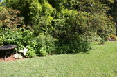 Enlarge photo 30