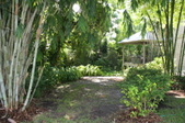 Enlarge photo 40