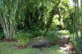 Enlarge photo 42
