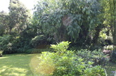Enlarge photo 47