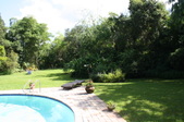 Enlarge photo 46