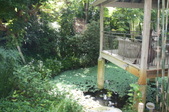 Enlarge photo 48