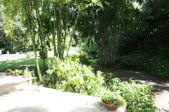 Enlarge photo 52