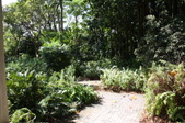 Enlarge photo 61
