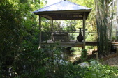 Enlarge photo 64