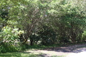 Ginny house