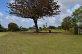 Enlarge photo 42