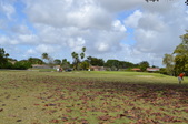 Enlarge photo 43