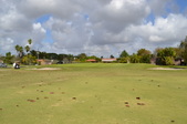 Enlarge photo 45