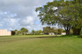 Enlarge photo 50