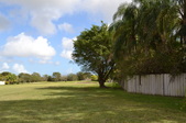 Enlarge photo 53