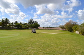 Enlarge photo 59