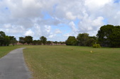 Enlarge photo 60