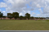 Enlarge photo 62
