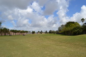 Enlarge photo 64