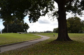 Enlarge photo 67