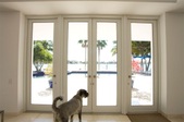 Enlarge photo 29