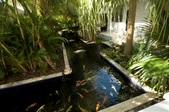 Enlarge photo 77