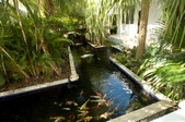 Enlarge photo 78