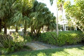 Enlarge photo 89