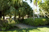 Enlarge photo 90