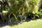 Enlarge photo 94