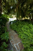 Enlarge photo 96