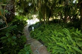 Enlarge photo 98