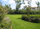 Enlarge photo 125