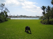 Enlarge photo 126
