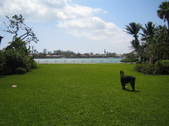 Enlarge photo 127
