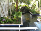 Enlarge photo 142