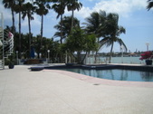 Enlarge photo 146