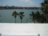 Enlarge photo 152