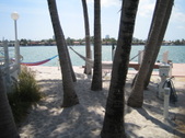 Enlarge photo 163