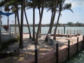 Enlarge photo 164